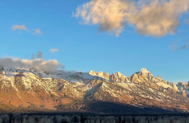 Jackson Hole Rustic Luxury | Cozy Cabin in the Tetons near Snake River |1BD 2BA