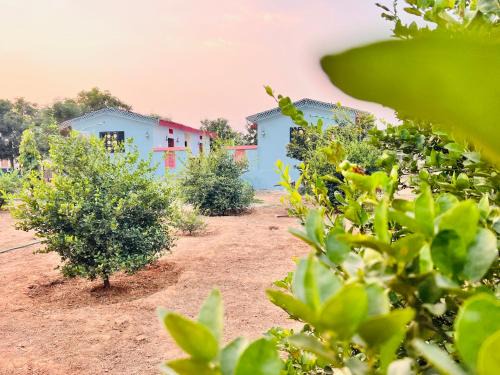 Jaipur Eco Village