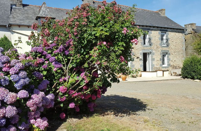 --Jean's farm--
