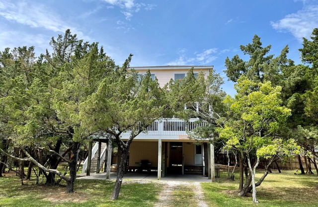 Jetts House: Dog friendly home in private location