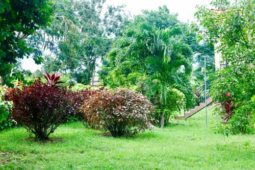 JIREH'S PLACE