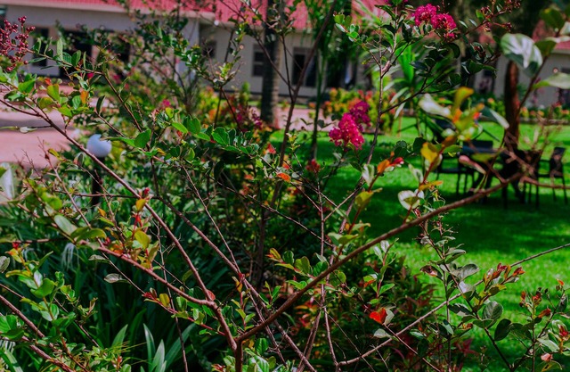 JLM HOTEL BUSIA