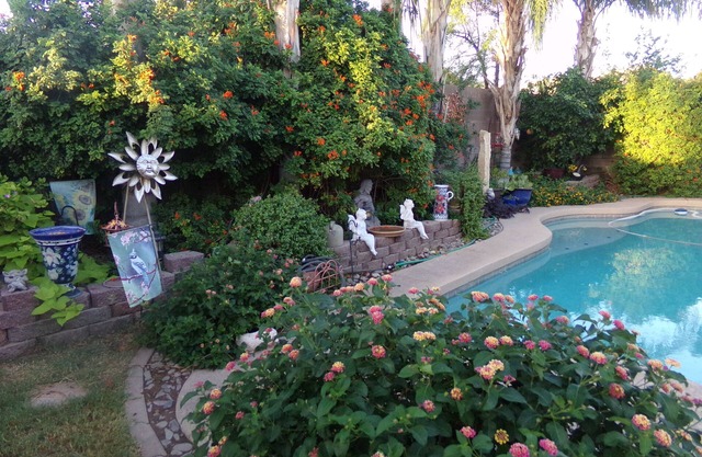Johnson Ranch SanTan Valley Golfing, Swimming, Hiking, & for Lovers of Naturen