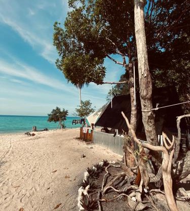 Juita Glamping Perhentian island