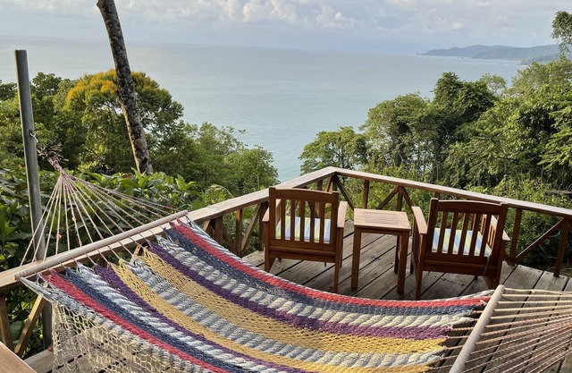 Jungle by the Sea