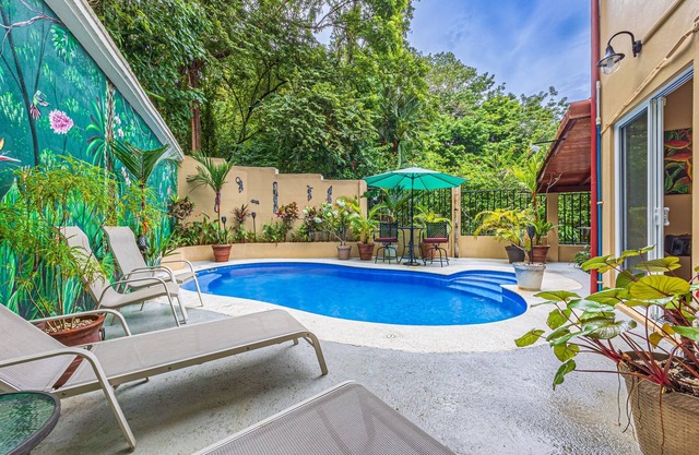 Jungle Home:Huge Construct disc thru Nov