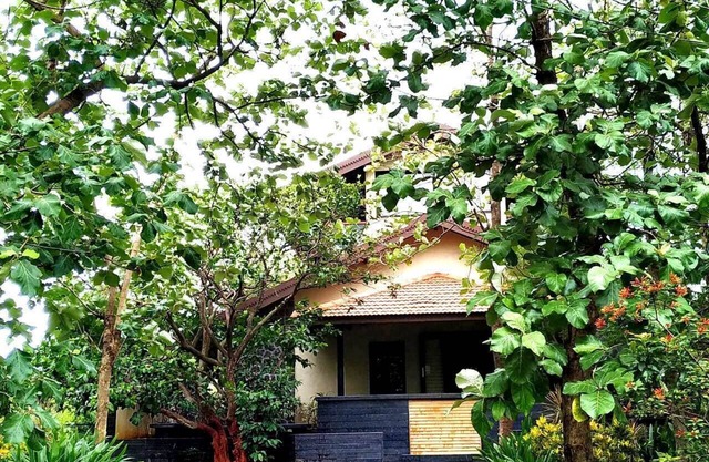 Jungle Safari Holiday Villa with 3 Bdrms