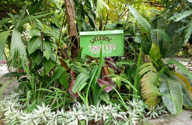 Jungle View Homestay & Guesthouse Only Stay Here Book Treking With Us