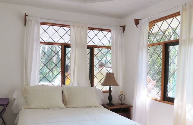 Jungle View, Private, Near Beach/Town, W/ Pool, Macaws, Titi Monkeys