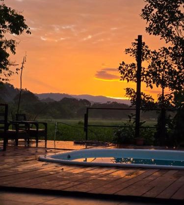 Junglehouse Matapalo