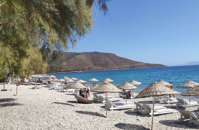 Kabuk Ev Pansiyon