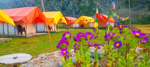 Kangal Camps Miyar Valley