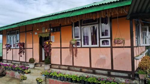 Karma Dreamland homestay