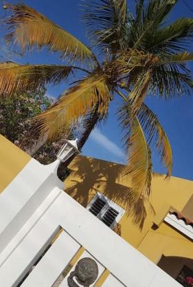 Kas Calimero, a hidden gem in Bonaire