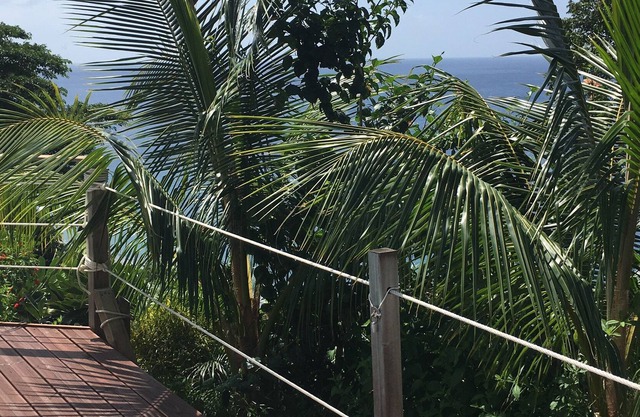 KAYLIDOUDOU T1 THE CARBET FAR FROM SARGASSES AND CLOSE TO BEACHES, SWIMMING POOL