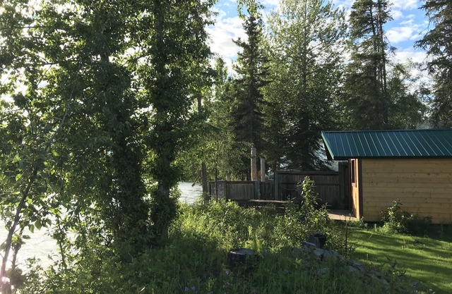 Kenai River Fishing Cabin #4 20 feet from the riverbank!