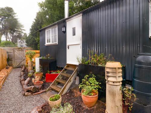 King's Cwtch Shepherd's Hut