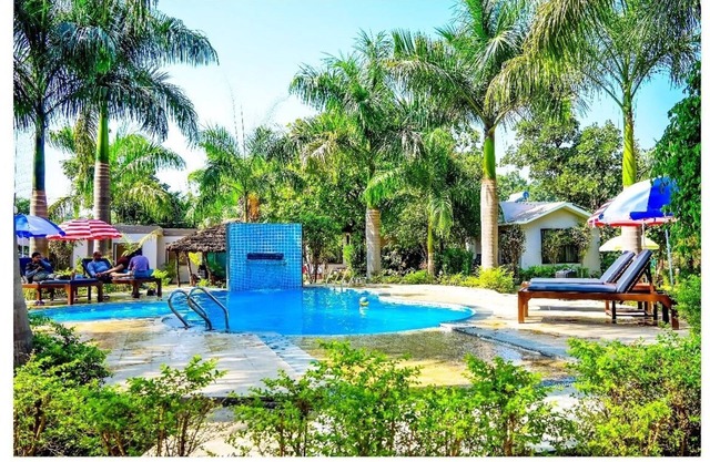 Kingfisher resorts