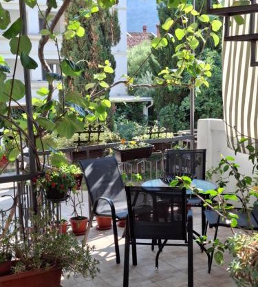 Kiwi Apartments Budva