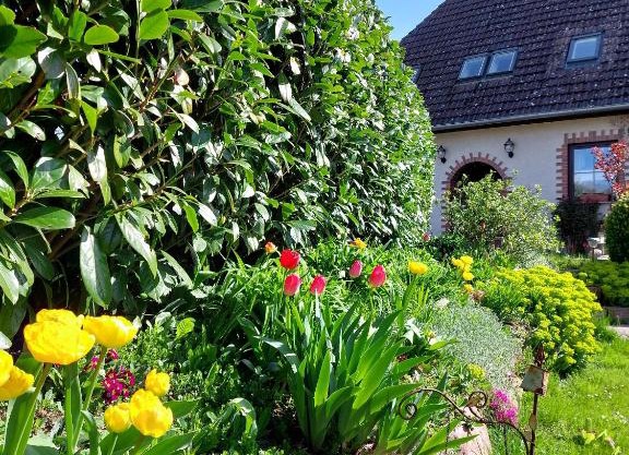 Klosterblick
