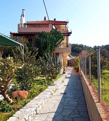 KONSTANTINA'S HOUSE