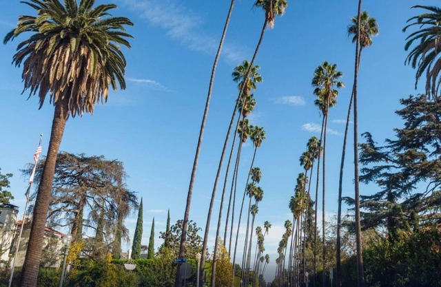 Koreatown Walking Neighborhood. 2 Bed Apt. Parking + W/D