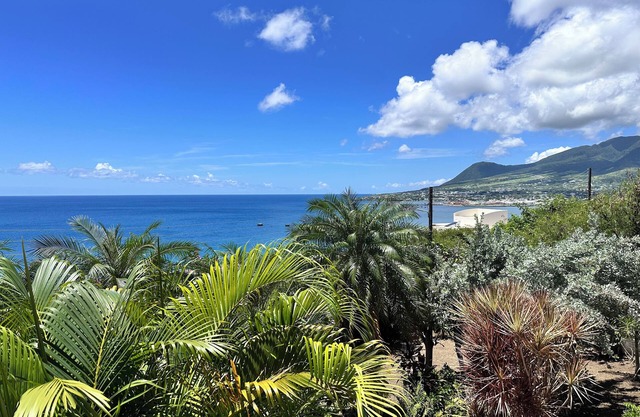 Krysta's Hideaway, Cozy, Oceanview 2 Bedroom Apartment. Central Location.