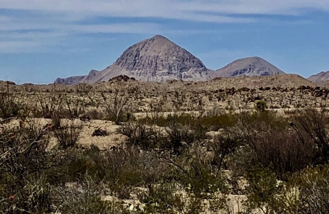 Kushala - Big Bend Wildhorse Mountain Home