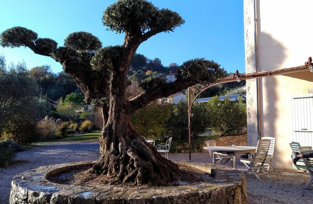 L'escale Provencale