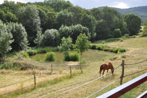La Bergerie