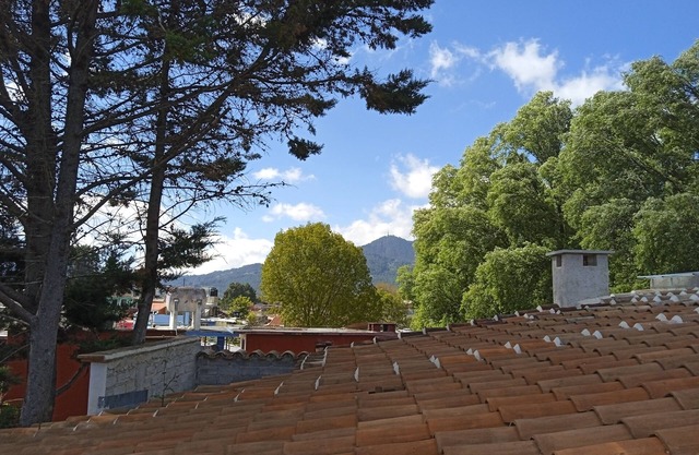 La Casa Del Rio in Downtown with fully furnished Terrace