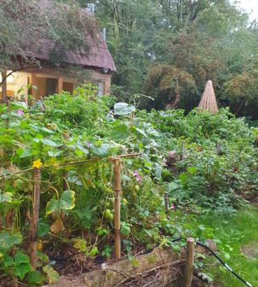 La Cabane