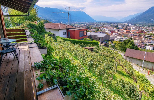 La Casa tra le Vigne
