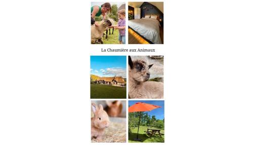 La Chaumière aux Animaux