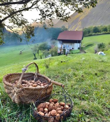 La Ferme Du Mont Charvin
