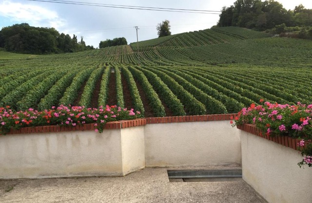 La Loge Du Vigneron
