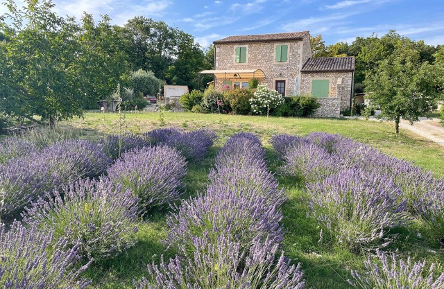 la maison de Joséphine, vue ventoux, piscine
