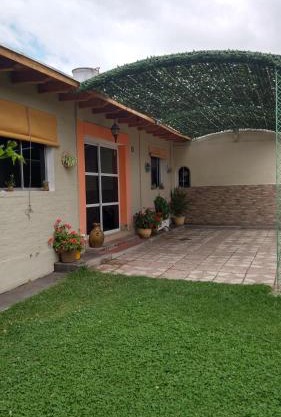 LA PALMERA