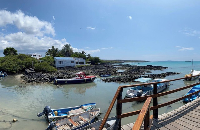 La Peregrina Bed & Breakfast