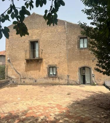 La vigna di Maggi