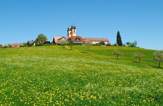 Landhuis Appartement Feldberg uitzicht
