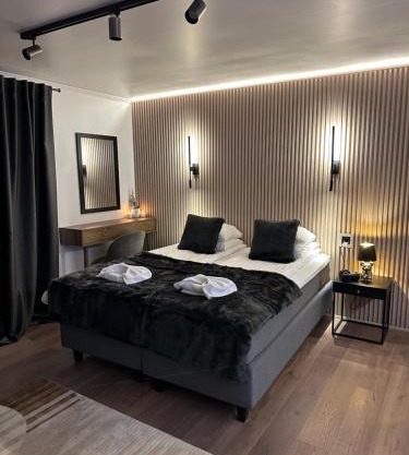 Lapland Dream House