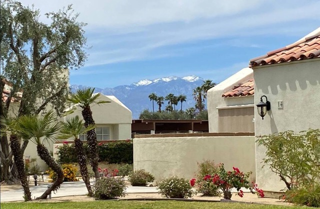 Large 1-bedroom condo in Desert Breezes near IW Tennis Garden, clubhouse, pools