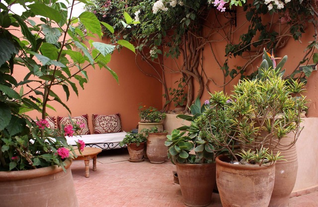 Large house and beautiful garden in the centre of Mirleft