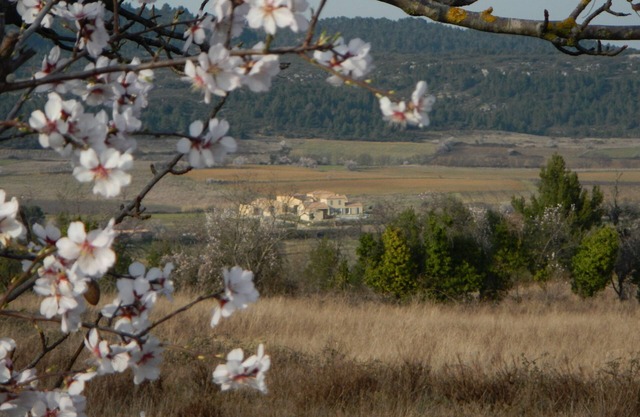 Large house in peaceful location! In July/Aug. discount for more than 14 people!