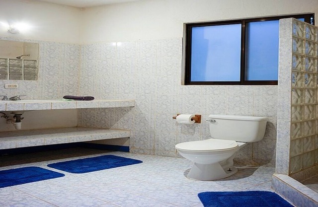 Large loft in a villa of 3 independent apts, immersed in 2 hects of natural park.