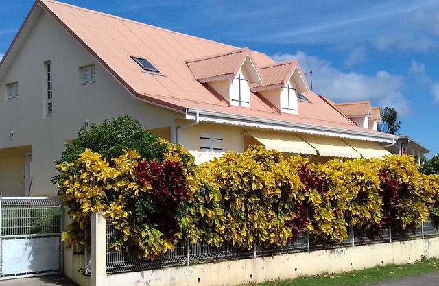 Large, well-equipped apartment in a villa 5 minutes' walk from the beaches