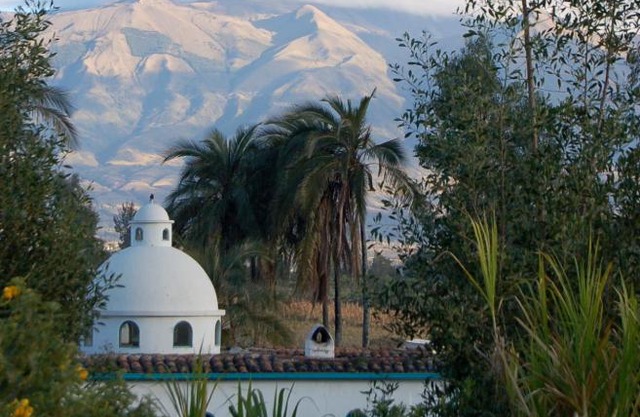 Las Palmeras Inn