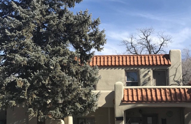 LAVENDER LIZARD B Upper Unit CASITAS