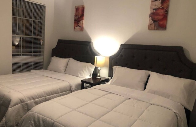 Lavish Apartment near Houston Medical Center